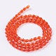 Faceted Glass Beads Strands(GLAA-A036-F16)-2