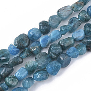 Natural Apatite Beads Strands, Nuggets, Tumbled Stone, 5~11x3~8x3~6mm, Hole: 0.8mm, about: 52~56pcs/Strand, 15.94 inch(40.5cm)(G-S363-046A)