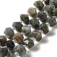 Natural Labradorite Beads Strands, Chip, 14~16x12~14x8~10mm, Hole: 1mm, about 24pcs/strand, 14.76''(37.5cm)(G-E578-03)