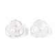 Natural White Shell Beads(BSHE-T014-50)-2