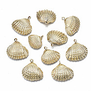 Electroplate Natural Shell Pendants, with Iron Loop, Shell, Gold, 19~25x19~26x7~9mm, Hole: 1.8mm(SHEL-S266-22)