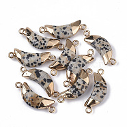 Natural Dalmatian Jasper Links connectors, with Both Ends Golden Plated Iron Loops, Faceted, Moon, 27~31x10x5~6mm, Hole: 2mm(G-S359-054B)