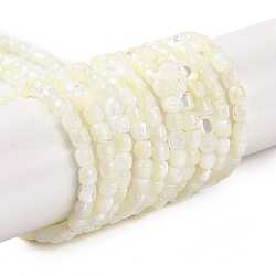 Natural Trochus Shell Beads Strands, Column, Bleach, White, 3.5x3.5mm, Hole: 0.7mm, about 114pcs/strand, 15.16''(38.5cm)(BSHE-S304-09B)