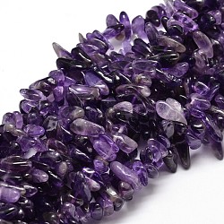 Natural Amethyst Chip Beads Strands, 8~30x5~12mm, Hole: 1mm, about 15.3 inch~15.7 inch(X-G-E271-11)