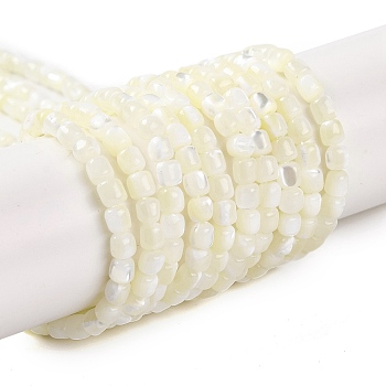 Natural Trochus Shell Beads Strands, Column, Bleach, White, 3.5x3.5mm, Hole: 0.7mm, about 114pcs/strand, 15.16''(38.5cm)