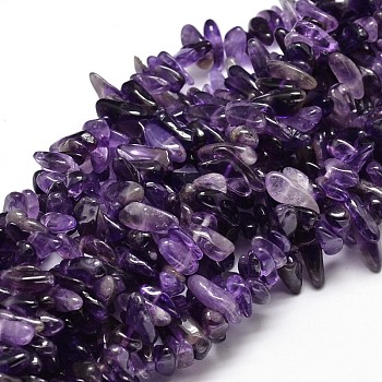 Natural Amethyst Chip Beads Strands, 8~30x5~12mm, Hole: 1mm, about 15.3 inch~15.7 inch