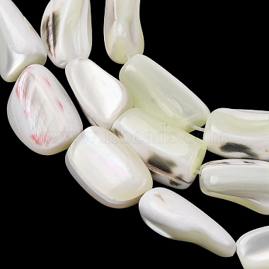 Natural Trochid Shell/Trochus Shell Beads Strands(SH-CBA2978-20B)-2