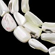Natural Trochid Shell/Trochus Shell Beads Strands(SH-CBA2978-20B)-2