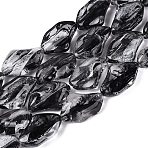 Handmade Lampwork Beads Strands, Polygon, Black, 21~22x13.5~14x7.5~8.5mm, Hole: 0.9~1mm, about 20pcs/strand, 16.14~16.54 inch(41~42cm)(LA-N046-02A)