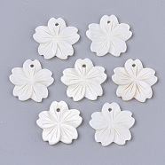 Freshwater Shell Pendants, Sakura Flower, Creamy White, 20.5x20.5~22x1.5~2.5mm, Hole: 1.5mm(SHEL-N026-03)
