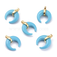 Synthetic Turquoise Pendants, with Golden Plated Brass Findings, Double Horn/Crescent Moon, 16x13x5.5mm, Hole: 1.5mm(G-L561-002G)