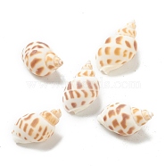 Natural Spiral Shell Beads, Undrilled/No Hole Beads, Camel, 23~29.5x15~17x12~14mm(BSHE-H015-05)