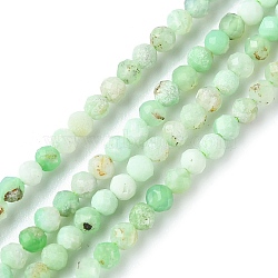 Natural Chrysoprase Beads Strands, Faceted, Round, 3mm, Hole: 0.7mm, about 130~140pcs/strand, 15.35~15.47 inch(39~39.3cm)(G-F748-X01-02B)