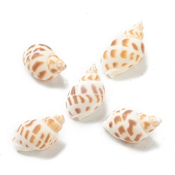 Natural Spiral Shell Beads, Undrilled/No Hole Beads, Camel, 23~29.5x15~17x12~14mm