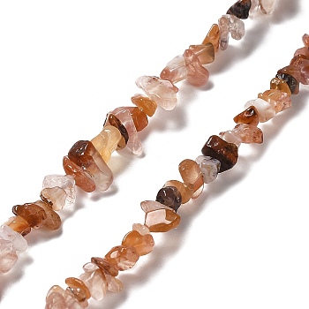 Natural South Red Agate Beads Strands, Chip, 1~5x3~16x3~5mm, Hole: 0.8~0.9mm, 29.92~32.68''(76~83cm)