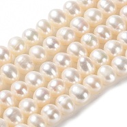 Natural Cultured Freshwater Pearl Beads Strands, Potato, Grade 2A, PapayaWhip, 6~7x5.5~6mm, Hole: 0.6mm, about 76pcs/strand, 15.43 inch(39.2cm)(PEAR-E018-39)