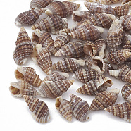 Sea Shell Beads, Undrilled/No Hole Beads, Rosy Brown, 9~14x6~8x4~6mm, about 227pcs/50g(X-SSHEL-S258-03)