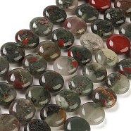 Natural African Bloodstone Beads Strands, Flat Round, 14.6~15.5x6~6.5mm, Hole: 0.8mm, about 27pcs/strand, 15.59''~15.87''(39.6~40.3cm)(G-M403-C16)
