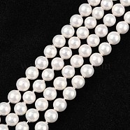 Shell Bead Strands, Imitation Pearl Bead, Grade A, Round, White, 6mm, Hole: 0.5mm, 63~64pcs/strand, 15 inch(BSHE-R146-6mm-02)