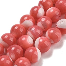 Dyed Natural Trochus Shell Beads Strands, Round, Light Coral, 10mm, Hole: 1.2mm, about 41pcs/strand, 15.08 inch(38.3cm)(BSHE-G034-25C)