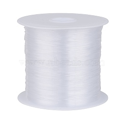 Nylon Wire, Fishing Line, Beading Thread, White, about 0.3mm in diameter, about 87.48 yards(80m)/roll(X-NWIR-R0.3MM)