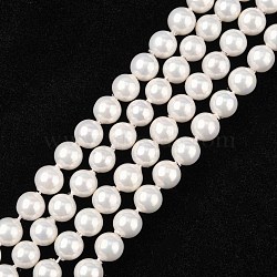 Shell Bead Strands, Imitation Pearl Bead, Grade A, Round, White, 6mm, Hole: 0.5mm, 63~64pcs/strand, 15 inch(BSHE-R146-6mm-02)