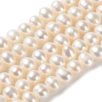 Natural Cultured Freshwater Pearl Beads Strands, Potato, Grade 2A, PapayaWhip, 6~7x5.5~6mm, Hole: 0.6mm, about 76pcs/strand, 15.43 inch(39.2cm)
