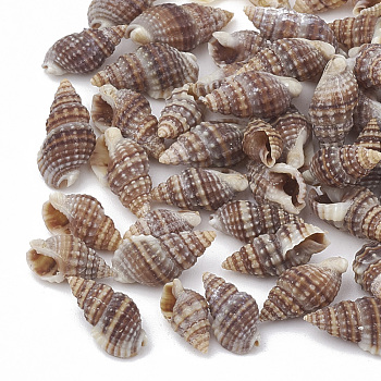 Sea Shell Beads, Undrilled/No Hole Beads, Rosy Brown, 9~14x6~8x4~6mm, about 227pcs/50g