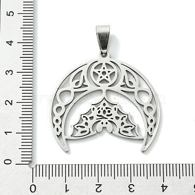 Non-Tarnish 201 Stainless Steel Pendants(STAS-U003-14P)-3