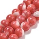Dyed Natural Trochus Shell Beads Strands(BSHE-G034-25C)-1