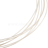 999 Sterling Silver Wire, Round, Silver, 24 Gauge, 0.5mm, about 6.56 Feet(2m)/pc(STER-WH0008-04B-S)