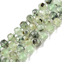 Natural Prehnite Beads Strands, with Seed Beads, Faceted, Rondelle, 8x6mm, Hole: 1mm, about 20~22pcs/strand, 7.09 inch(18cm)(G-N327-08H)
