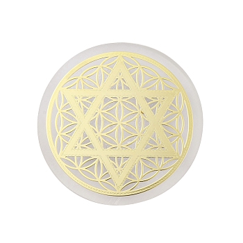Flat Round Natural Selenite Slice Coasters, Reiki Stone for Chakra Balance, Crystal Healing , Star, 59.5~64x6.5~8mm