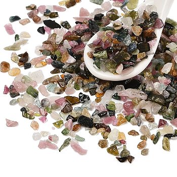 Pandahall Natural Tourmaline Chip Beads, No Hole/Undrilled, 3x5x1~3.5mm, 12500pcs/1000g