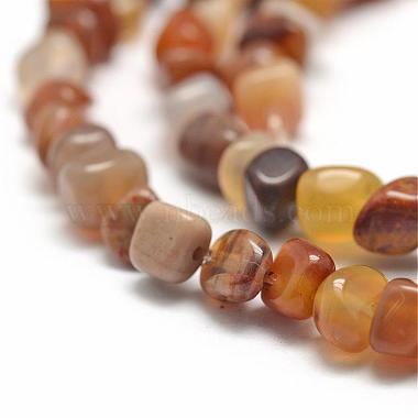 Chapelets de perles en bois pétrifié naturel(G-F465-20A)-3