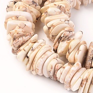 Natural Magnesite Chip Beads, Dyed, Nuggets, Beige, 10~36x9~24x1~4mm, Hole: 0.6mm(X-TURQ-L031-04)
