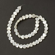 Natural White Shell Mother of Pearl Shell Beads, Heart, Creamy White, 8x8x3.5mm, Hole: 0.7mm, about 50pcs/strand, 14.09''(35.8cm)(BSHE-B005-10)