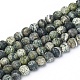 Natural Silver Line Jasper Beads Strands(G-L549-01-6mm)-1