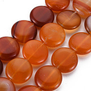 Natural Red Agate Beads Strands, Flat Round, 15x5~6mm, Hole: 1.4mm, about 25~26pcs/strand, 15.16~15.35 inch(38.5~39cm)(G-S359-348)