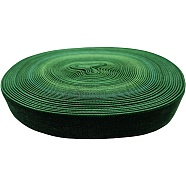 Single Face Velvet Ribbon, Ribbon for Bowknot, Flower, Gift Decoration, Dark Green, 1 inch(25mm), about 10.94 Yards(10m)/Roll(PW-WGEB54B-18)