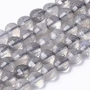 Natural Labradorite Beads Strands, Flat Round, Faceted, 3.8x2.5mm, Hole: 0.7mm, about 105pcs/Strand, 15.35 inch(39cm)(G-R462-008)