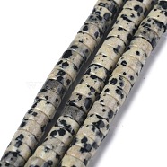 Natural Dalmatian Jasper Beads Strands, Heishi Beads, Flat Round/Disc, 6x3mm, Hole: 1mm, about 119~131pcs/strand, 14.76~15.74 inch(37.5~40cm)(G-Z006-C17)