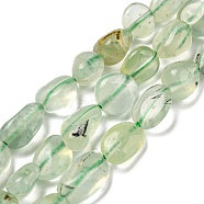 Natural Prehnite Beads Strands, Nuggets, Tumbled Stone, 3~11x4~8x3~6mm, Hole: 0.9mm, about 56pcs/strand, 15.94''~15.75''(40~40.5cm)(G-P497-01A-09)