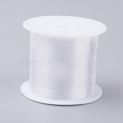 Fishing Thread Nylon Wire, Clear, 0.5mm, about 24.05 yards(22m)/roll(NWIR-G015-0.5mm-01)