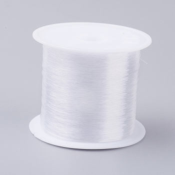 Fishing Thread Nylon Wire, Clear, 0.5mm, about 24.05 yards(22m)/roll