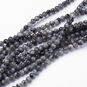 Natural Larvikite Beads Strands, Round, 3.5mm, Hole: 0.6mm, about 108pcs/strand, 14.96''(38cm)