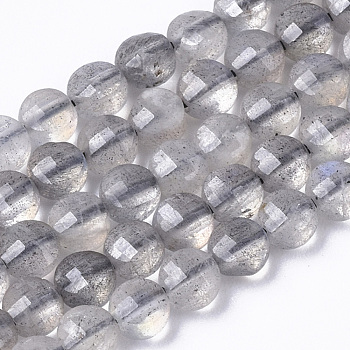 Natural Labradorite Beads Strands, Flat Round, Faceted, 3.8x2.5mm, Hole: 0.7mm, about 105pcs/Strand, 15.35 inch(39cm)