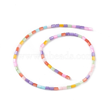Natural Freshwater Shell Dyed Beads Strands(SHEL-M018-12-13)-2