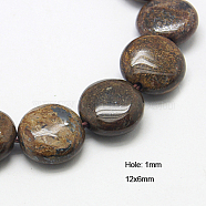 Natural Bronzite Beads Strands, Flat Round, 12x6mm, Hole: 1mm, about 33pcs/strand, 15.5 inches(G-G224-12x6mm-11)