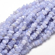 Natural Blue Lace Agate Chip Beads Strands, 5~14x4~10mm, Hole: 1mm, about 15.5 inch~16.1 inch(X-G-E271-73)